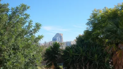 Chalet in Benicolada photo 27
