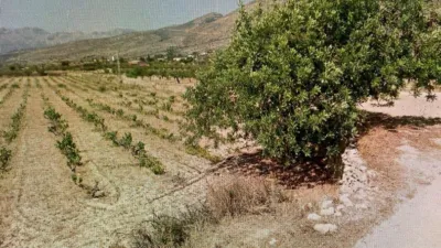 Terreno en venta en Benimallunt - Vista 5