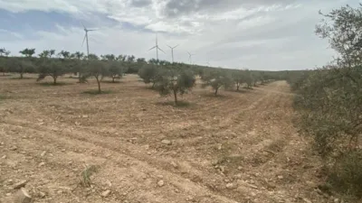 Rustic Finca in Padul photo 4