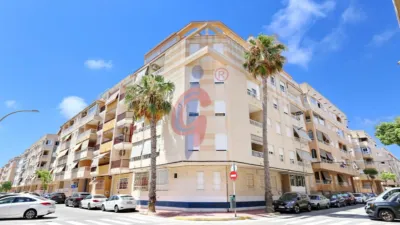 Pis – Guardamar del Segura, el Baix Segura / La Vega Baja - Vista 4