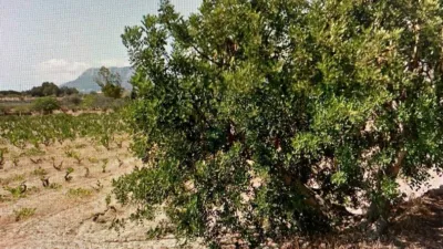 Terreno en venta en Benimallunt - Vista 4