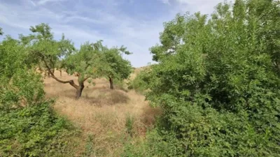 Rustic Finca in Padul photo 19