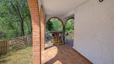 Rustic finca in Andalucia photo 3