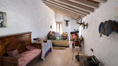 Rustic finca in Andalucia photo 19