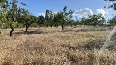 Rustic finca in Padul photo 28