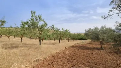 Rustic Finca in Padul photo 12