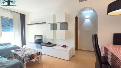 Apartment in Cuatro Plumas photo 5