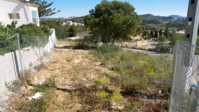Terreno en venta en Estacion - Vista 3