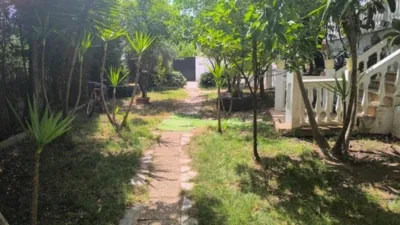 Rustic Finca in Padul photo 3