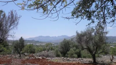 Terreno en venta en Canor - Vista 3