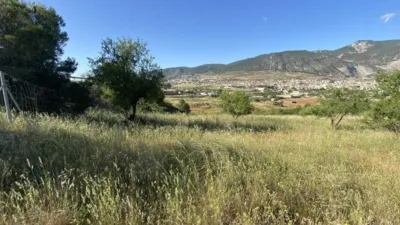 Rustic finca in Padul photo 20