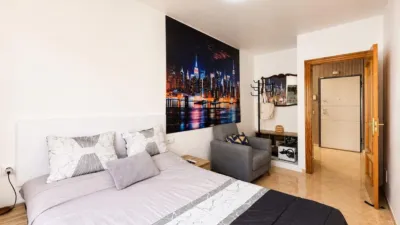 Apartment on Avenida Pintor Rosales photo 17