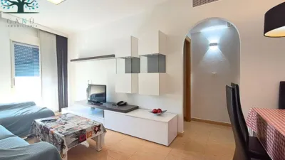 Apartment in Cuatro Plumas photo 3