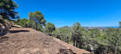 Terreno en venta en Oltamar - Vista 5