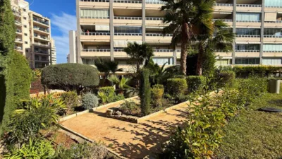 Apartment in Puerto photo 29