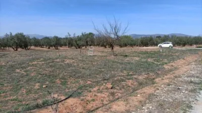 Finca rústica en Albolote photo 17