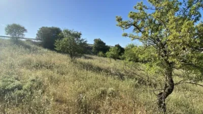 Rustic finca in Padul photo 19