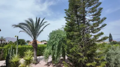 Chalet on Calle de La Arroba del Palomar photo 41