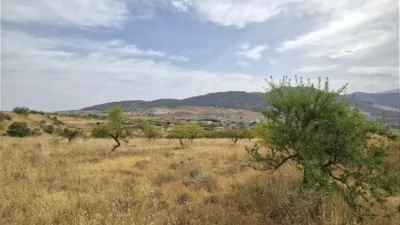 Rustic finca in Padul photo 7