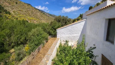 Rustic finca in Andalucia photo 46