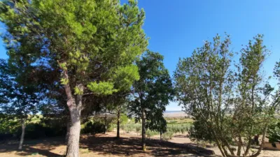 Rustic Finca in Escorredores photo 20