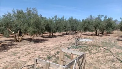 Rustic finca in Albolote photo 10