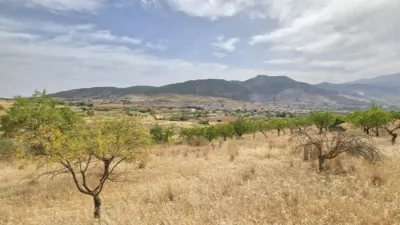 Rustic finca in Padul photo 9