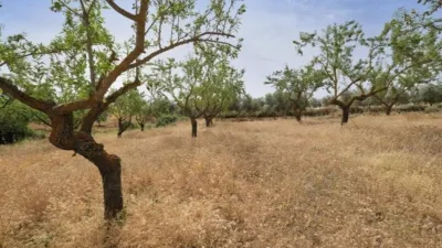 Rustic Finca in Padul photo 15