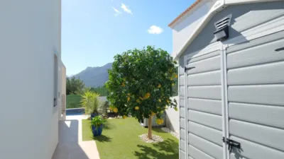 Chalet in La Solana photo 50