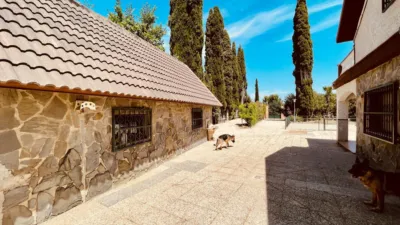 Chalet in P-2 photo 53