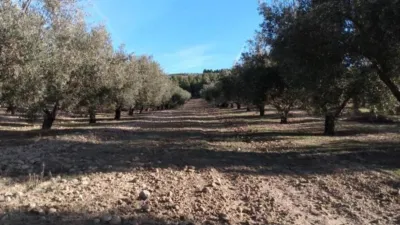 Rustic Farm in La Malahá photo 17