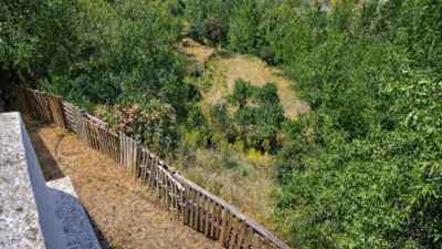 Rustic finca in Andalucia photo 42