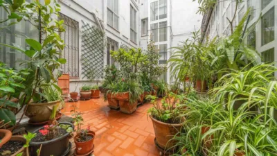 Apartment in the City Centre photo 34