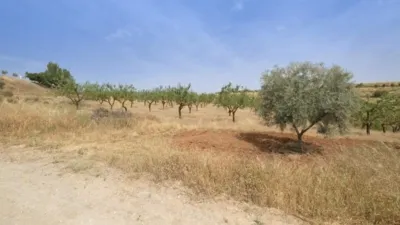 Rustic Finca in Padul photo 36