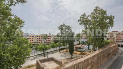 Apartment in Cruz Roja - Capuchinos photo 37
