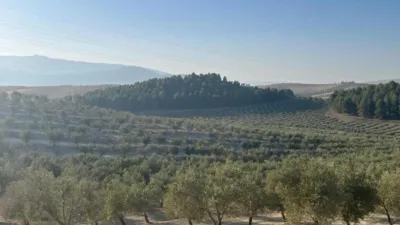 Rustic Farm in La Malahá photo 18