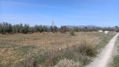 Rustic finca in Albolote photo 9