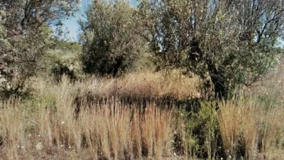 Terreno en venta en Benimallunt - Vista 2