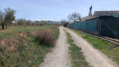 Rustic finca in Albolote photo 21