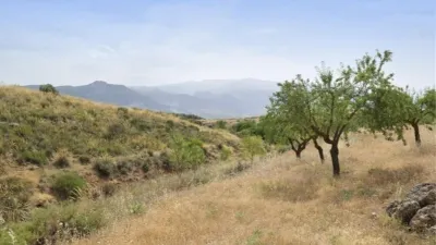 Rustic Finca in Padul photo 30