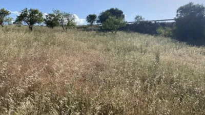 Rustic finca in Padul photo 25