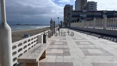 Apartment in Zona Entremares photo 34