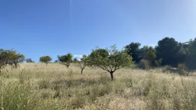 Rustic finca in Padul photo 24