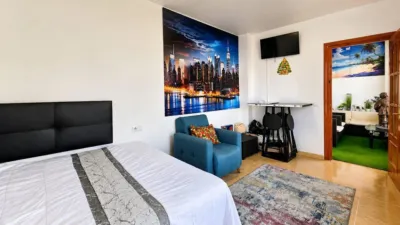 Apartment on Avenida Pintor Rosales photo 19