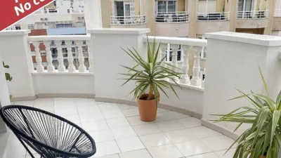 Pis – Torrevieja, El Palmeral, el Baix Segura / La Vega Baja - Vista 2