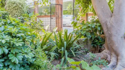 Apartment in Recinto Ferial photo 17