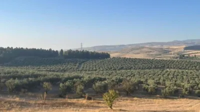 Rustic Farm in La Malahá photo 9