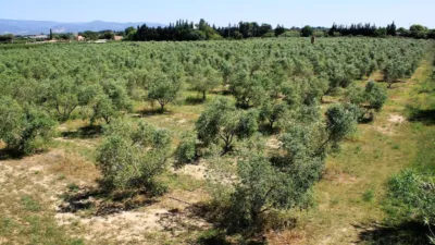 Rustic finca on Carretera de Riudoms a Cambrils, 23 photo 41