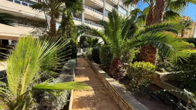 Apartment in Puerto photo 30