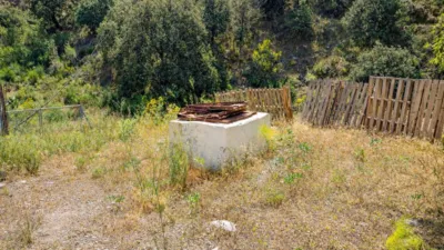 Rustic finca in Andalucia photo 48